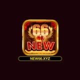 The "New66" user's logo