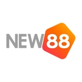 The "new8818pro" user's logo