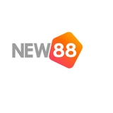 The "New881network" user's logo