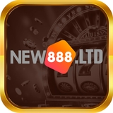The "new888ltd" user's logo