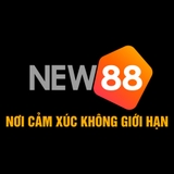 The "new88cco2" user's logo