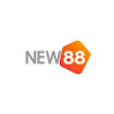 The "New88info com" user's logo