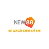 The "new88pm4" user's logo