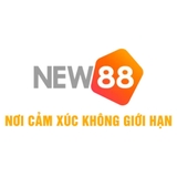 The "new88solar2" user's logo