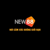 The "New88" user's logo