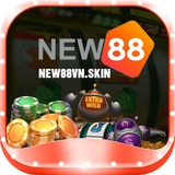 The "new88vnskin" user's logo