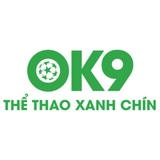 The "OK9 Vin" user's logo