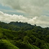 The "Noah Eyrise" user's logo