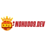 The "nohu009dev2024" user's logo