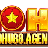 The "Nohu88 com" user's logo