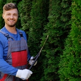 nottinghamtreesurgeons