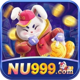 The "nu999" user's logo