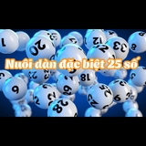 The "Nuoidande25sokhung2ngay com" user's logo