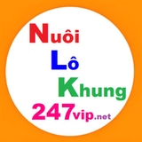 The "Nuôi Lô Khung 247 Vip - Website Soi cầu 247, Dự đoán Lô đề chính xác 100" user's logo