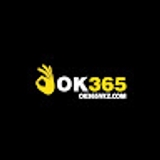 The "ok365 vkz" user's logo