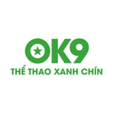 The "OK9 – Nhà cái uy tín hàng đầu châu Á 2025" user's logo