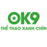 The "OK9 Careers" user's logo