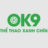 The "Ok9i Org" user's logo