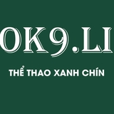 The "OK9 li" user's logo