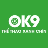 The "ok9link" user's logo