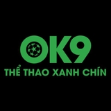 The "OK9 – ตัวเลือกยอดนิยมสำหรับการเดิมพันกีฬา" user's logo