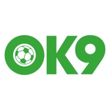 The "Ok9vn1com" user's logo