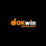 The "Liên Minh OKWIN" user's logo