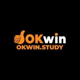 The "okwinstudy" user's logo