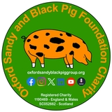 The "Oxford Sandy Black Pig Group Foundation Charity" user's logo