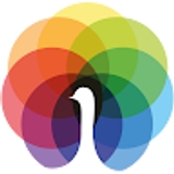 The "Peafowl_IT_Solution" user's logo