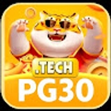 The "pg 30" user's logo