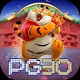 The "pg30 vip – plataforma de jogos premium com" user's logo