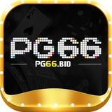The "pg66bid" user's logo
