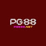 The "PG889 Net" user's logo