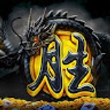 The "PGS5000" user's logo