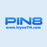 The "PIN 8" user's logo