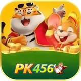 The "pk456" user's logo