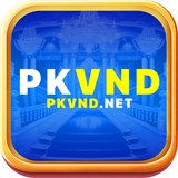 The "pkvndnet" user's logo