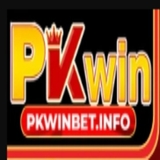 The "pkwinbet info" user's logo