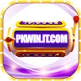 The "pkwinit com" user's logo