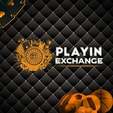 The "Playinexch" user's logo