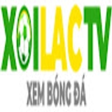 The "Powerindiversityisrael com die web die web" user's logo