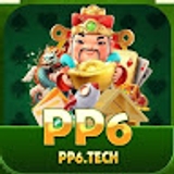 The "pp 6 " user's logo