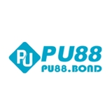 The "Pu88" user's logo