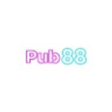 The "PUB88 WIN" user's logo