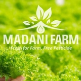 The "Pusat Sarana Green House" user's logo
