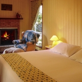 The "puvrnlight" user's logo