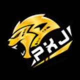 The "PXJ THAILANDORG" user's logo