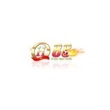 The "QH88 VFS" user's logo
