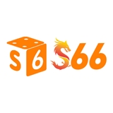 The "S6666" user's logo